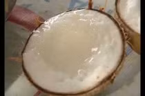 Món ngon khó cưỡng dừa sáp và mầm dừa Nam bộ