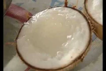 Món ngon khó cưỡng dừa sáp và mầm dừa Nam bộ