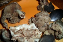 Đặc sản kinh dị và nổi tiếng của Philippines 