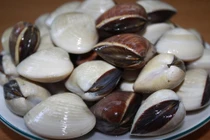 Bí quyết làm sạch cát trong nghêu, ốc... hiệu quả