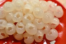 7 món ăn từ quả nhãn ngon tuyệt, lại dễ làm 