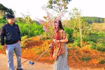 Nữ Phó giám đốc Sở bẻ hoa gửi thư xin lỗi