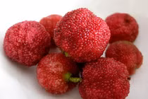 Nhiều loại quả đặc sản vùng cao chữa bệnh tốt