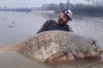 Câu cá trên sông, tái mặt đụng trúng 'quái ngư' từng đoạt mạng người