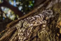 Những phát hiện mới gây sốc nhất 2013 