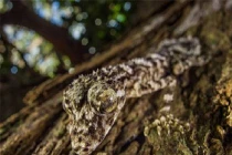 Những phát hiện mới gây sốc nhất 2013 