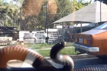 Hãi hùng xem rắn "tấn công" ô tô 