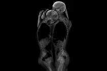 Hãi hùng xem “bóng ma” yêu đương