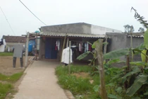 Vờ yêu dụ dỗ đi... bán hàng đa cấp