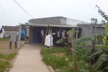 Vờ yêu dụ dỗ đi... bán hàng đa cấp