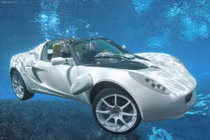 Những "chiến binh" tinh nhuệ trên cạn lẫn dưới nước