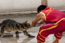 Rùng rợn những công việc đối diện với “cửa tử"