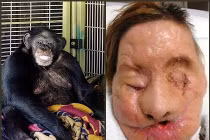 Những vụ động vật tấn công người thê thảm nhất (2)