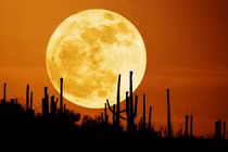 Clip: Trái đất chết nếu không có Mặt trăng?