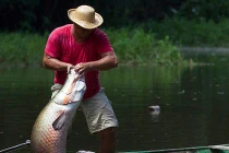 Xem ngư dân bắt “thủy quái” khủng