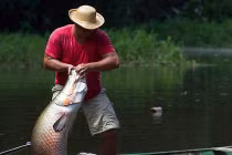 Xem ngư dân bắt “thủy quái” khủng