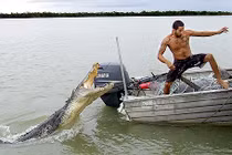 Cận cảnh cú đớp chết chóc của cá sấu khủng (6)