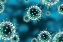 10 giải pháp khoa học nực cười nhất lịch sử