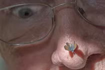 Tận mục loài bướm... soi kính lúp mới thấy