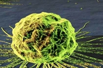 Khám phá đáng sợ về ảnh hưởng của giấc ngủ 