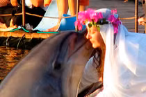 Quái đản những đám cưới người ... vật