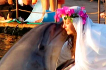 Quái đản những đám cưới người ... vật