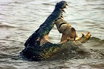 Cận cảnh cú đớp chết chóc của cá sấu khủng (8) 