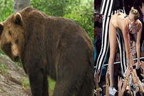 Động vật nhảy “gợi tình” giống Miley