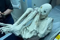 Tiết lộ mới về xác người ngoài hành tinh gây chấn động giới khoa học