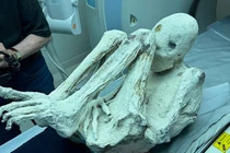 Tiết lộ mới về xác người ngoài hành tinh gây chấn động giới khoa học