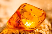 1 gia đình đào giếng trúng được khối đá quý hơn vàng