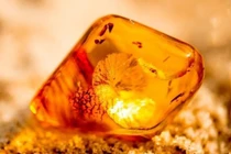 1 gia đình đào giếng trúng được khối đá quý hơn vàng