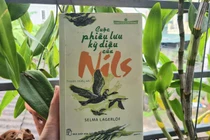 Không thể rời mắt với 'Cuộc phiêu lưu kỳ diệu của Nils'