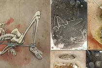 Hé lộ kiểu tra tấn Mafia thời tiền sử qua những bộ xương cổ