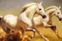 Top 4 con giáp may mắn, giàu lên nhanh nhất từ giữa tháng 10