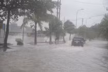 Top những cơn bão ám ảnh nhất lịch sử 20 năm tại Việt Nam