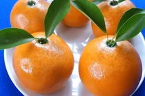 Lợi ích khi đặt quả cam bên giường khi đi ngủ