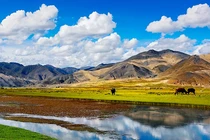 Kỳ lạ vùng đất có 'báu vật' ngàn đô, nhưng không một bóng cây xanh