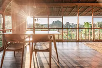 Ấn tượng vẻ đẹp xanh mát của ngôi nhà trên cây ở Bali