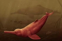 Cá heo đỏ 16 triệu tuổi và loạt thủy quái kỳ dị gây ám ảnh