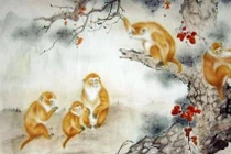 Tuần mới, 3 con giáp được Thần Tài chiếu cố, may mắn không ngờ