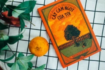 Trở về tuổi thơ cùng cuốn sách bán chạy nhất 'Cây cam ngọt của tôi'