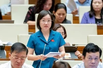 Từ vụ SCB, Vạn Thịnh Phát: Nhất trí tăng xử phạt với kiểm toán