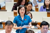 Từ vụ SCB, Vạn Thịnh Phát: Nhất trí tăng xử phạt với kiểm toán