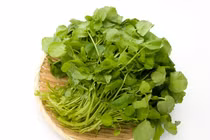 Loại rau nhiều người sợ bẩn nhưng giúp ngăn ngừa ung thư hiệu quả