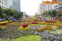 Đường hoa Nguyễn Huệ rực rỡ trước ngày khai mạc