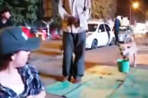 Sự thật clip “Chó xách xô đi ăn xin cùng chủ” ở Sài Gòn