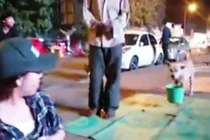 Sự thật clip “Chó xách xô đi ăn xin cùng chủ” ở Sài Gòn