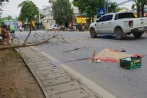 Xót xa đôi nam nữ sắp cưới thương vong vì cành cây rơi trúng