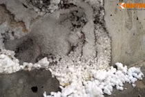 Thêm nghi vấn cầu bê tông cốt xốp ở Hà Nội đầu tư 65 tỷ